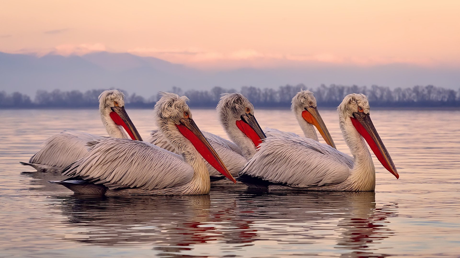 九游官网pc-2025篮球赛季亮点盘点，精彩不断，2021-2022篮球