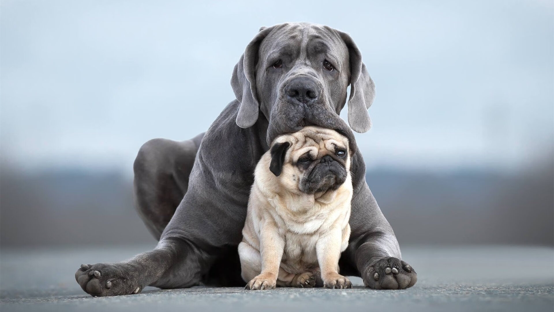 九游(jiuyou)官方网站-_极限越野探险：沙漠、丛林双线穿越_，沙漠越野第六关怎么过